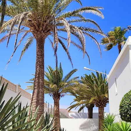 New Avatea Parque Natural, Piscinas Y Tennis Corralejo